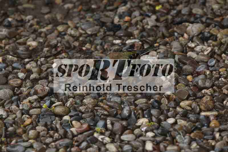 Archiv-2023/03 07.04.2023 Speer Racing ADR/Impressionen